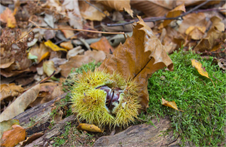 ddos在线攻击平台