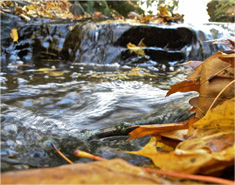 ddos在线攻击平台